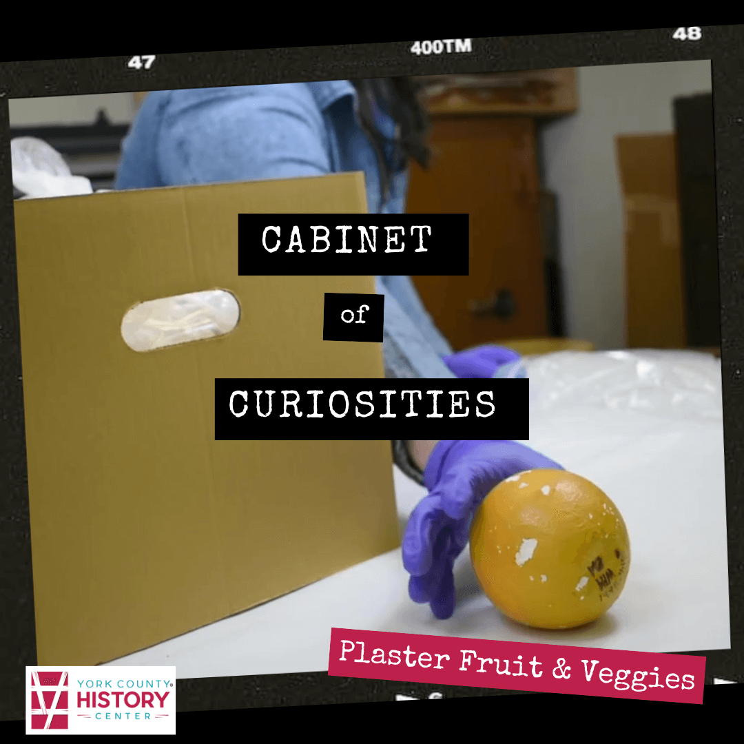 Cabinet Of Curiosities