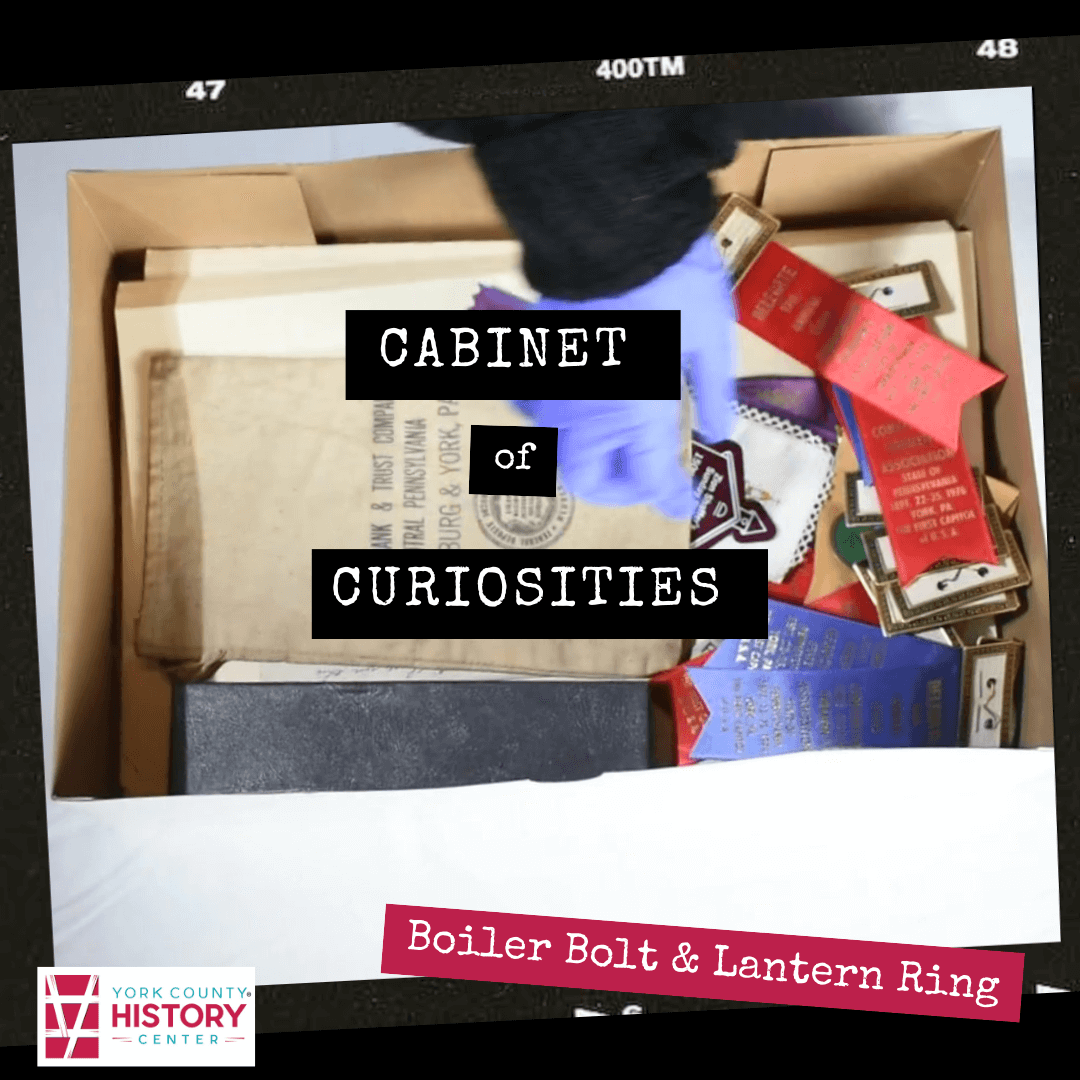 Cabinet Of Curiosities