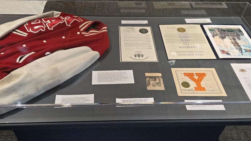 items on display in a community case