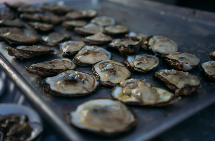 a photo of raw oysters on a tray