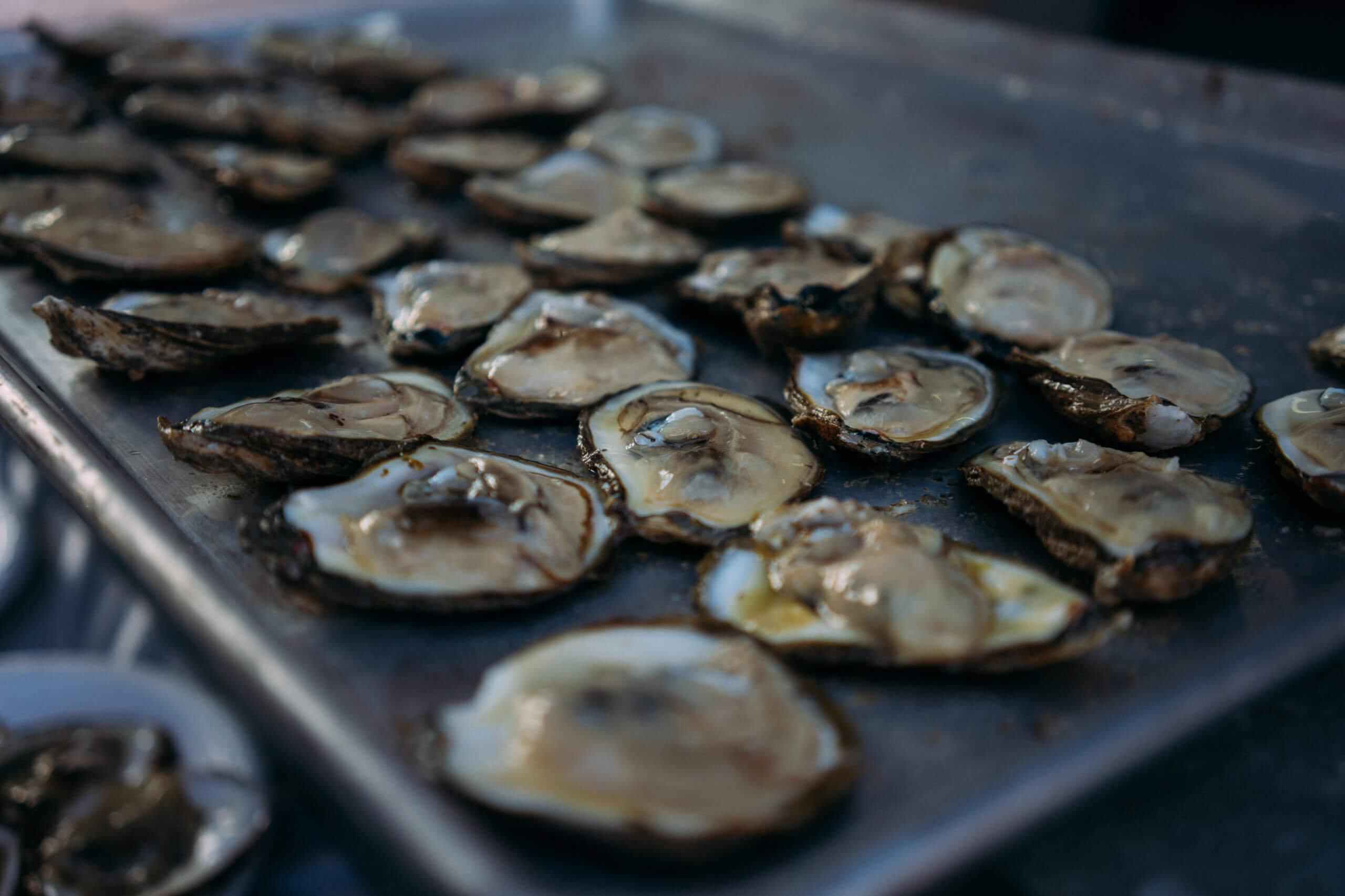 a photo of raw oysters on a tray
