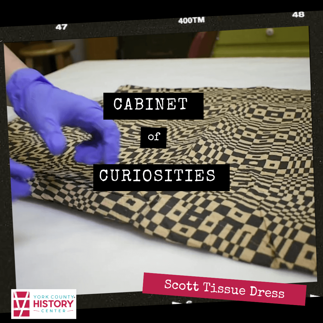 Cabinet Of Curiosities