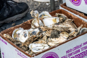 a basket of used oyster shells