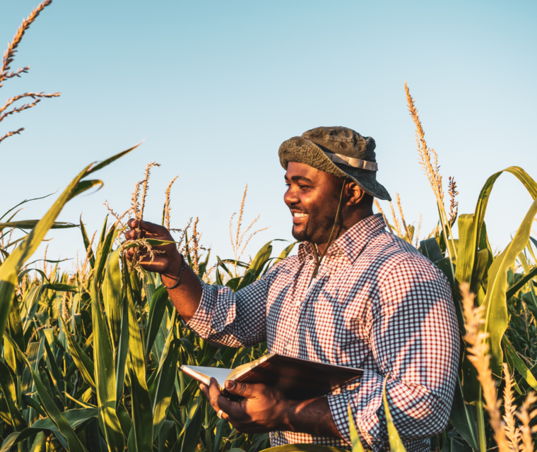 Program Page 1600 X 1440